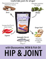 In Clover Jump Soft Chews for Daily Joint Care and Endurance Support for Dogs 425Gr.