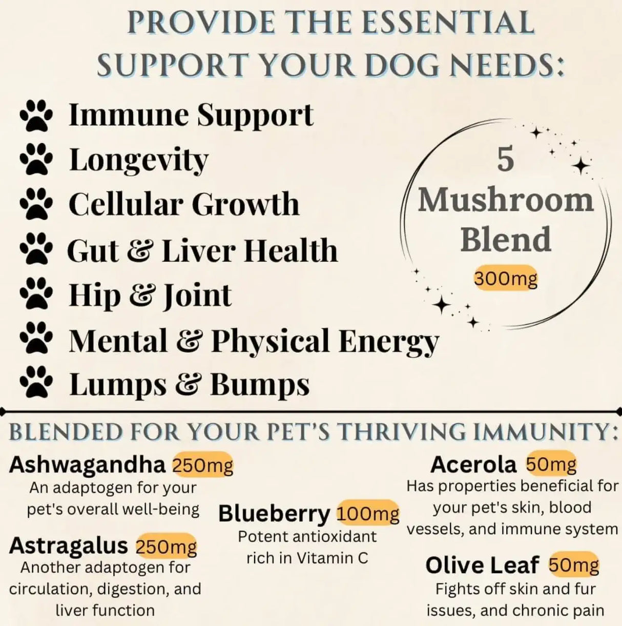 ELECTRIC ELIXIR - Electric Elixir Dogs Immune Support Mushroom Supplement 90 Masticables - The Red Vitamin MX - Suplementos Herbales Para Perros - {{ shop.shopifyCountryName }}