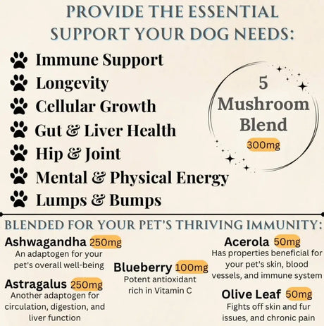 ELECTRIC ELIXIR - Electric Elixir Dogs Immune Support Mushroom Supplement 90 Masticables - The Red Vitamin MX - Suplementos Herbales Para Perros - {{ shop.shopifyCountryName }}