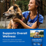 NUTRI-VET - Nutri-Vet Adult-Vite Plus Soft Chews for Dogs 70 Masticables - The Red Vitamin MX - Multivitamínicos Para Perros - {{ shop.shopifyCountryName }}