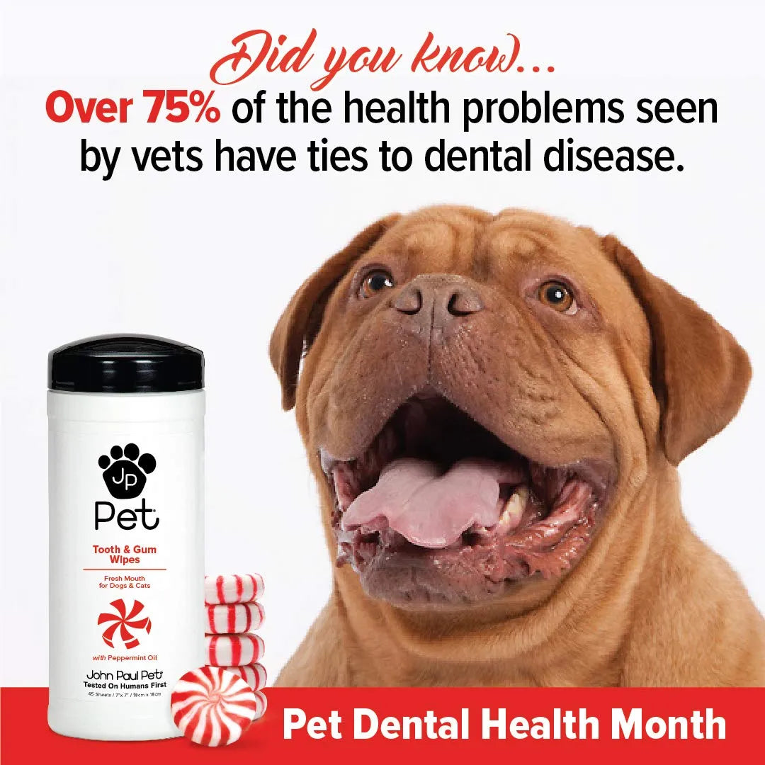 JOHN PAUL PET - John Paul Pet Tooth & Gum Pet Wipes for Dogs and Cats 45 Toallitas - The Red Vitamin MX - Cuidado Dental Para Perros - {{ shop.shopifyCountryName }}
