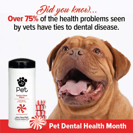 JOHN PAUL PET - John Paul Pet Tooth & Gum Pet Wipes for Dogs and Cats 45 Toallitas - The Red Vitamin MX - Cuidado Dental Para Perros - {{ shop.shopifyCountryName }}