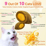 Puyrzoe Cat Multivitamin 500 Masticables