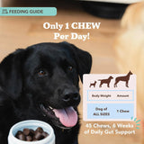 NATURAL DOG COMPANY - Natural Dog Company Probiotic Chews for Dogs Chicken Flavor 45 Masticables - The Red Vitamin MX - Probióticos Para Perros - {{ shop.shopifyCountryName }}