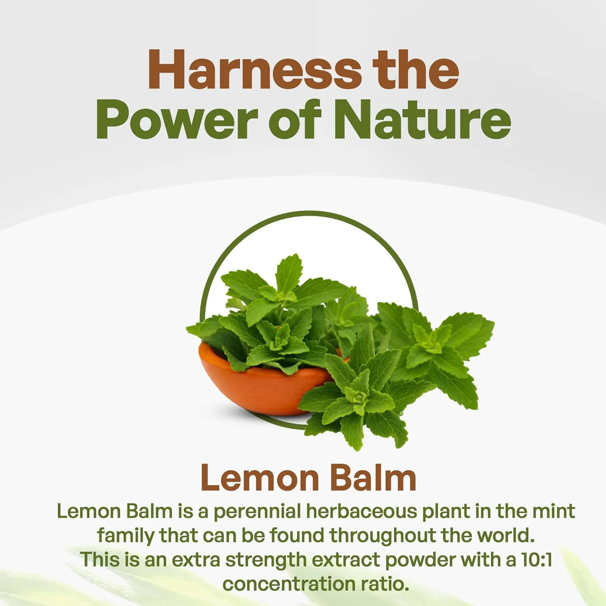GO NUTRA - Go Nutra Lemon Balm Extract Powder 8 Oz. - The Red Vitamin MX - Suplementos Alimenticios - {{ shop.shopifyCountryName }}