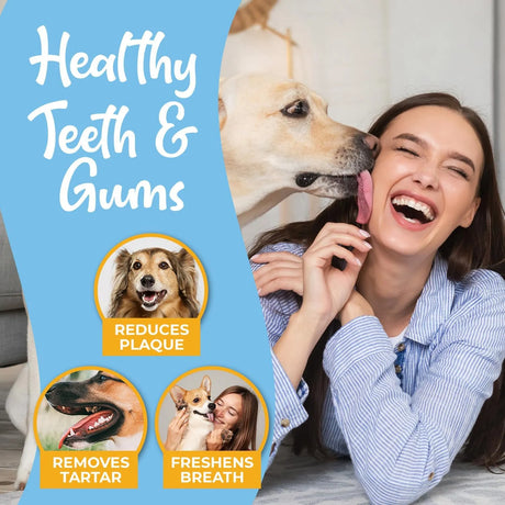 VETWIPE - VetWipe Dog Teeth Cleaning Finger Wipes 50 Toallitas - The Red Vitamin MX - Cuidado Dental Para Perros - {{ shop.shopifyCountryName }}