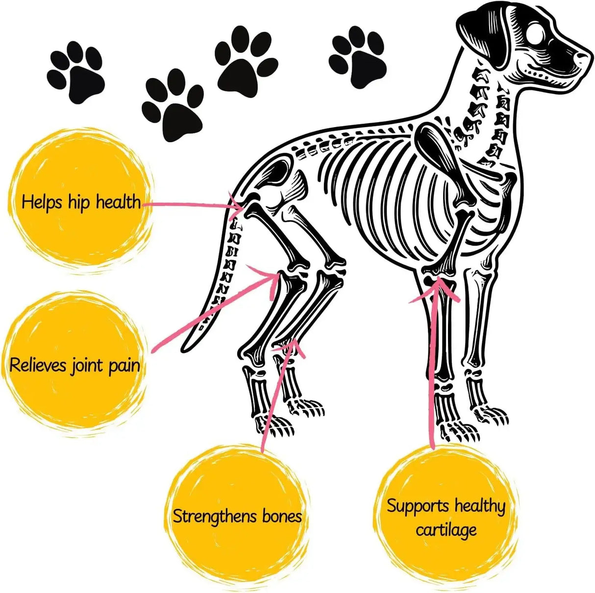 VENNEX - VENNEX Hip and Joint Supplement for Dogs 120 Masticables - The Red Vitamin MX - Cuidado De Cadera Y Articulaciones Para Perros - {{ shop.shopifyCountryName }}