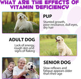 OIMMAL - OIMMAL 15 in 1 Dog Multivitamin Drops for Dogs 2 Fl.Oz. - The Red Vitamin MX - Multivitamínicos Para Perros - {{ shop.shopifyCountryName }}