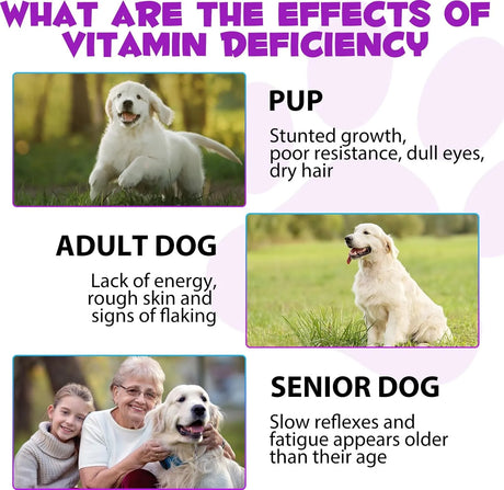 OIMMAL - OIMMAL 15 in 1 Dog Multivitamin Drops for Dogs 2 Fl.Oz. - The Red Vitamin MX - Multivitamínicos Para Perros - {{ shop.shopifyCountryName }}