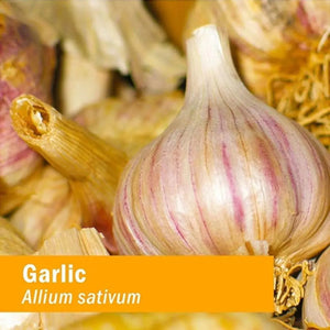 HERB PHARM - Herb Pharm Certified Organic Garlic Liquid Extract 30Ml. - The Red Vitamin MX - Suplementos Alimenticios - {{ shop.shopifyCountryName }}