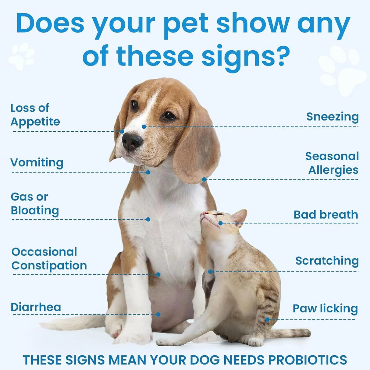 BIGHERO - Bighero Probiotics for Dogs 180 Masticables - The Red Vitamin MX - Probióticos Para Perros - {{ shop.shopifyCountryName }}