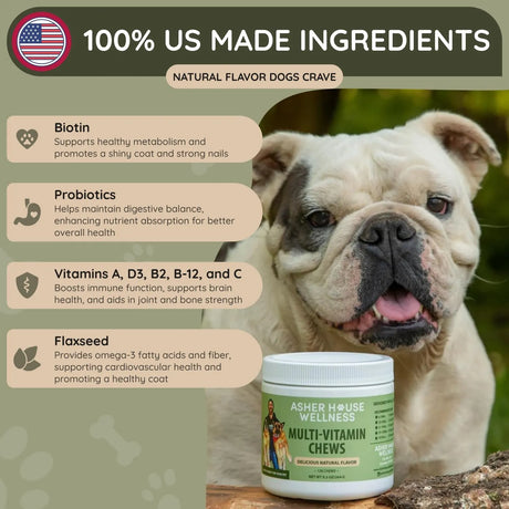 ASHER HOUSE WELLNESS - ASHER HOUSE WELLNESS Dog Multivitamin Chews 120 Masticables - The Red Vitamin MX - Multivitamínicos Para Perros - {{ shop.shopifyCountryName }}