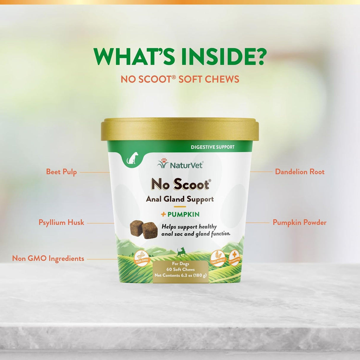 NaturVet No Scoot for Dogs 60 Masticables