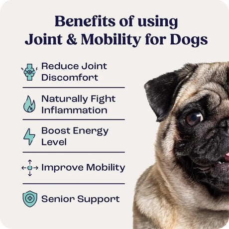 SUMMIT - Summit Canine Joint and Mobility Supplement for Small Dogs 8Ml. - The Red Vitamin MX - Cuidado De Cadera Y Articulaciones Para Perros - {{ shop.shopifyCountryName }}