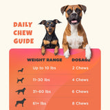 giv soft butter Hip & Joint Supplement Chews for Dogs 90 Masticables