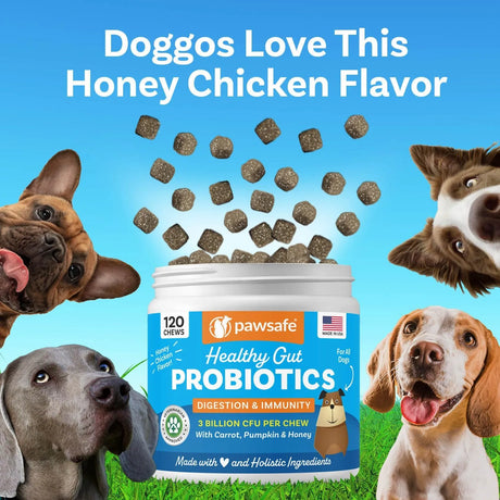 PAWSAFE - PawSafe Dog Probiotics Honey Chicken Flavor 120 Masticables - The Red Vitamin MX - Probióticos Para Perros - {{ shop.shopifyCountryName }}