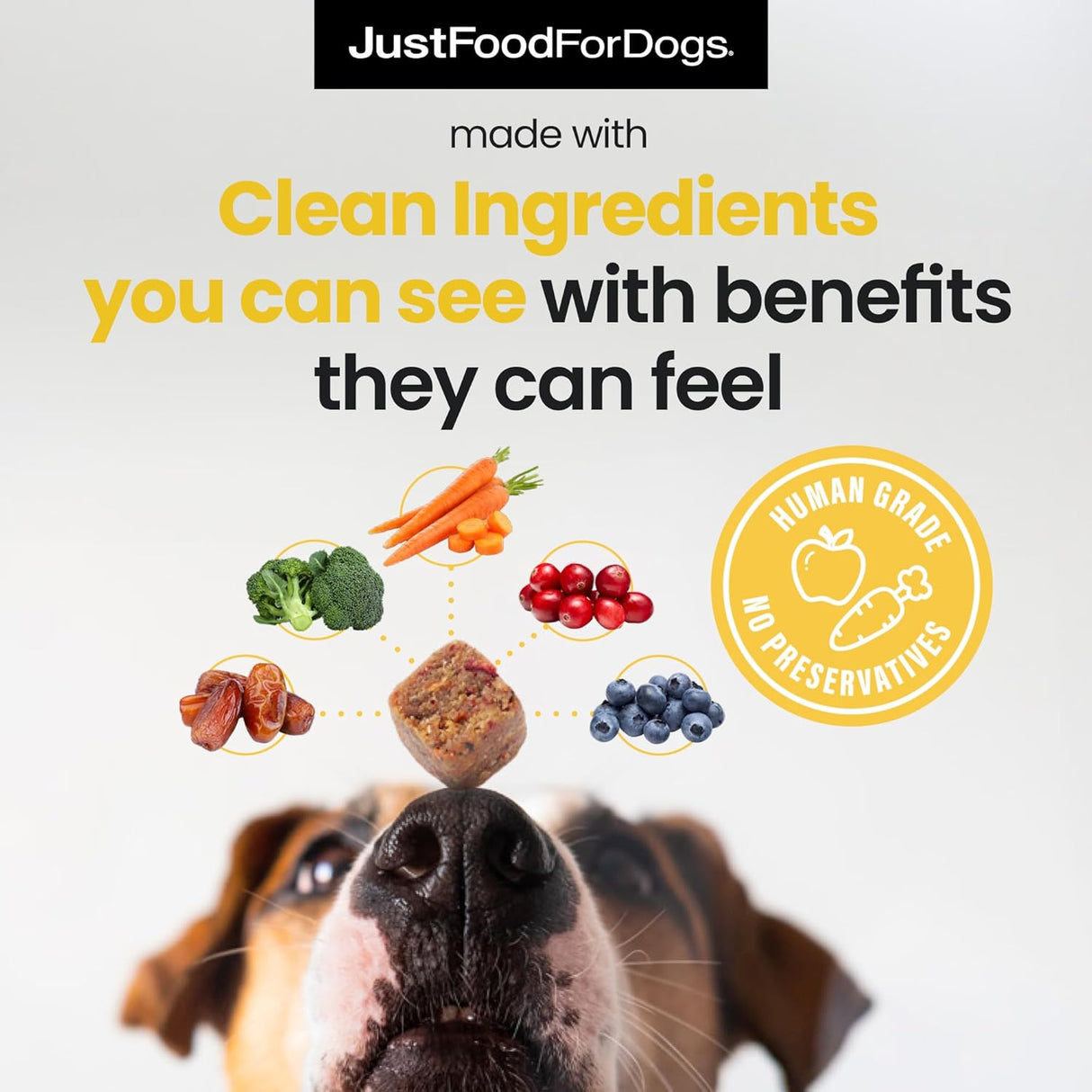 JustFoodForDogs Hip + Joint Soft Chews Mobility Supplement for Dogs 45 Masticables
