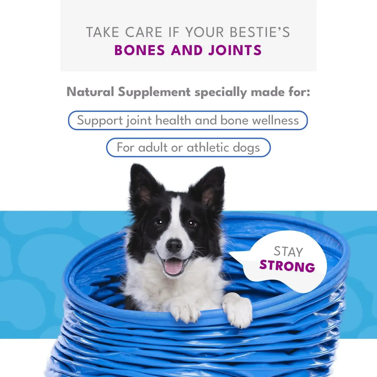 NATURAL PET - Natural Pet Artripet Joint Support 30 Paquetes - The Red Vitamin MX - Cuidado De Cadera Y Articulaciones Para Perros - {{ shop.shopifyCountryName }}