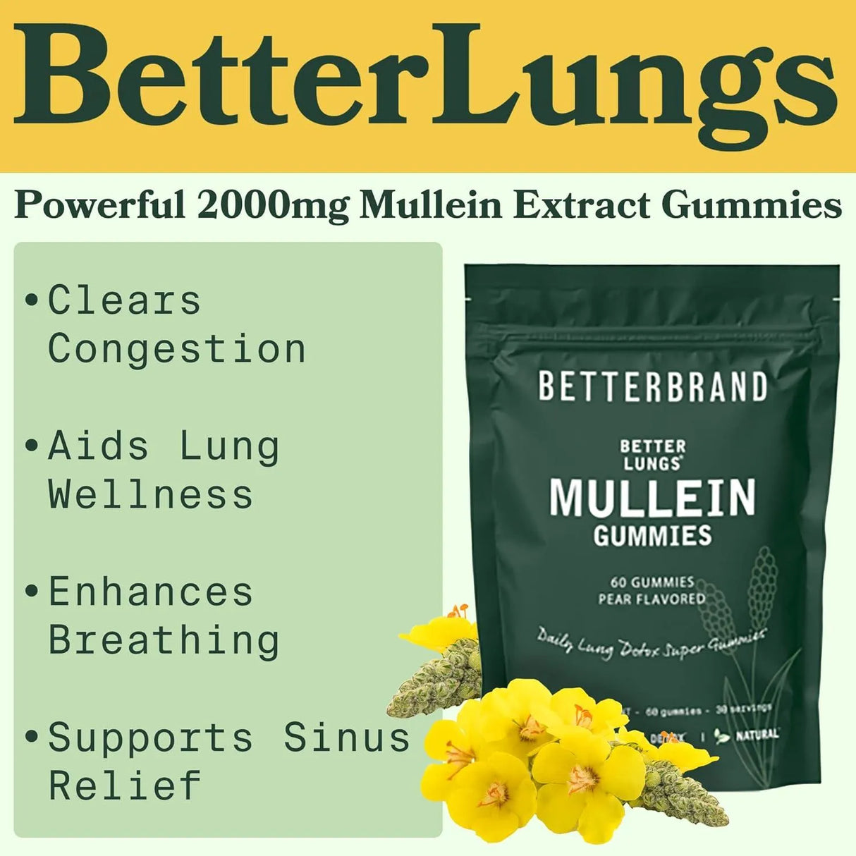 BETTERBRAND - Betterbrand BetterLungs Daily Respiratory Health Gummies 60 Gomitas - The Red Vitamin MX - Suplementos Alimenticios - {{ shop.shopifyCountryName }}