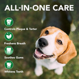 VET'S BEST - Vet’s Best Enzymatic Dog Toothpaste Grape flavor 3.5 Oz. - The Red Vitamin MX - Cuidado Dental Para Perros - {{ shop.shopifyCountryName }}