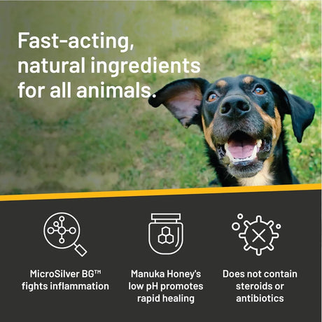 ABSORBINE - Absorbine Silver Honey Rapid Ear Care Vet Strength Ear Rinse 4 Fl.Oz. - The Red Vitamin MX - Cuidado Del Oído De Perros - {{ shop.shopifyCountryName }}