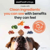 JUSTFOODFORDOGS - JustFoodForDogs 10-in-1 Multifunctional Supplement Chews for Dogs 45 Masticables - The Red Vitamin MX - Multivitamínicos Para Perros - {{ shop.shopifyCountryName }}