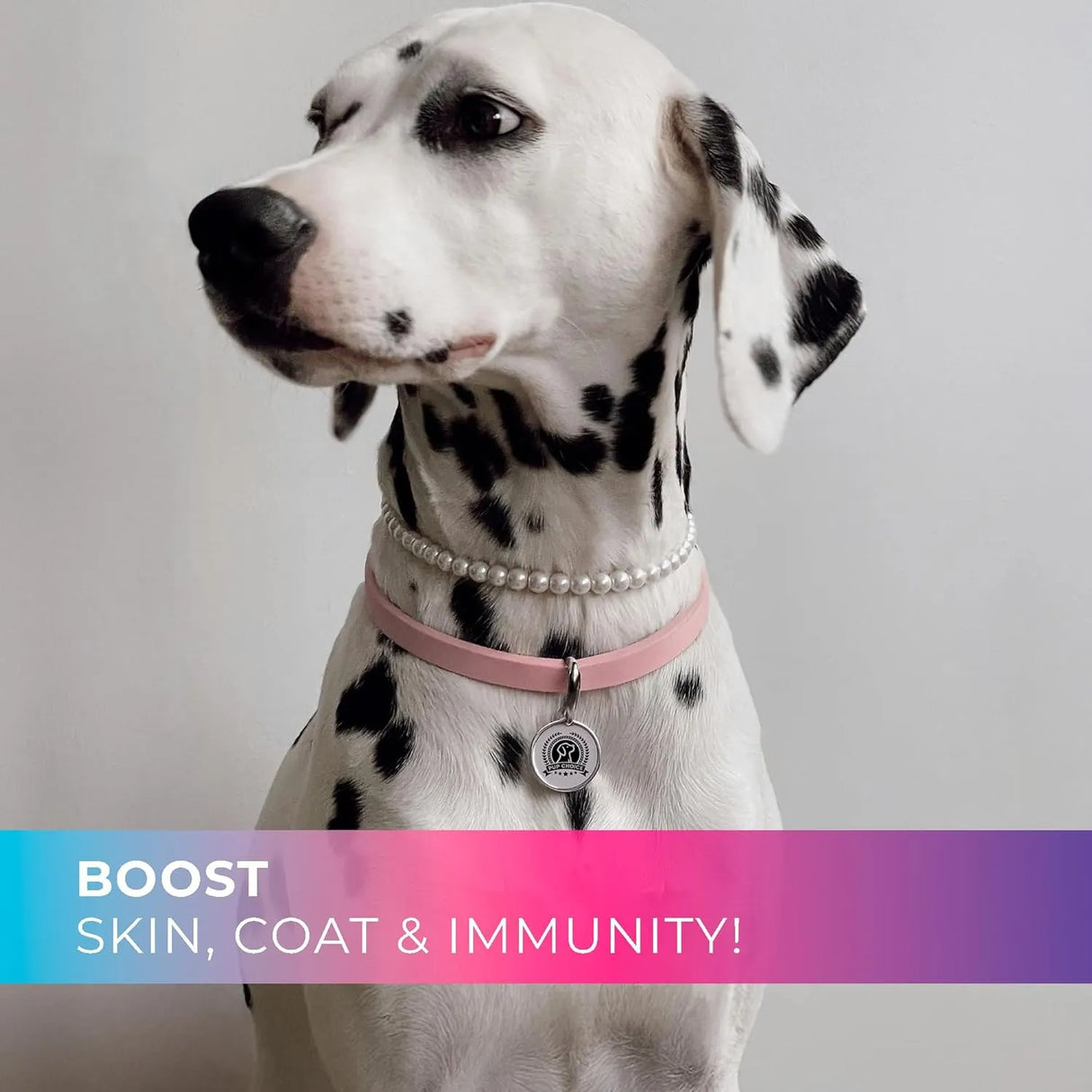 PUP CHOICE - Pup Choice 14-in-1 Multivitamin Treats for Dogs Beef Flavor 140 Masticables - The Red Vitamin MX - Multivitamínicos Para Perros - {{ shop.shopifyCountryName }}