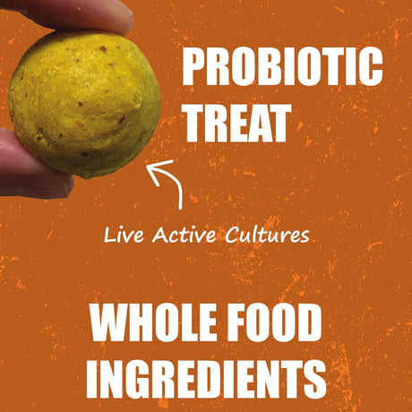 WHOLE LIFE - Whole Life Pet Human Grade Probiotic Dog Treats Pumpkin & Yogurt 85Gr. 2 Pack - The Red Vitamin MX - Probióticos Para Perros - {{ shop.shopifyCountryName }}