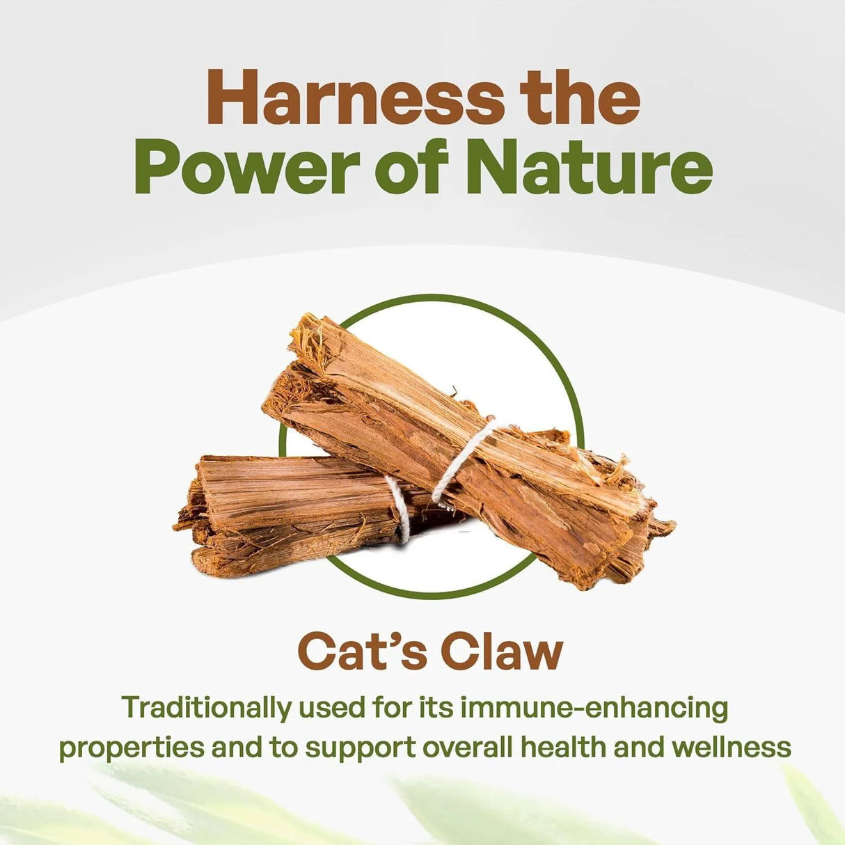 GO NUTRA - Go Nutra Cat’s Claw Powder 8 Oz. - The Red Vitamin MX - Suplementos Alimenticios - {{ shop.shopifyCountryName }}