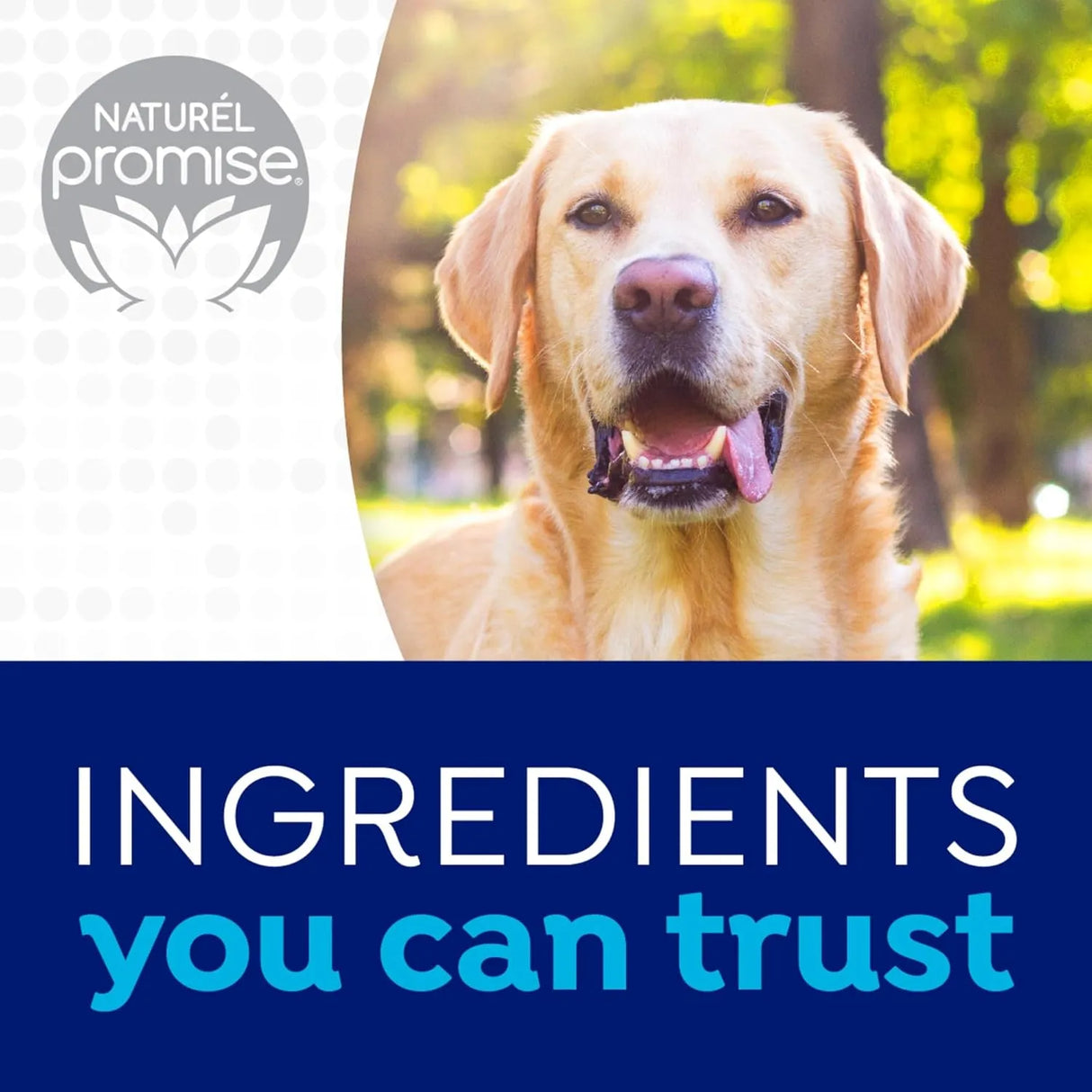 NATUREL PROMISE - Naturel Promise Fresh Dental Plus Glucosamine for Hip & Joint Water Additive for Dogs 529Ml. - The Red Vitamin MX - Cuidado Dental Para Perros - {{ shop.shopifyCountryName }}