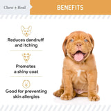 CHEW + HEAL - Chew + Heal Labs Omega Treats for Skin and Coat Chicken Flavor 180 Masticables - The Red Vitamin MX - Aceite De Pescado Para Perros - {{ shop.shopifyCountryName }}