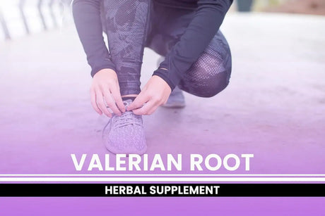 PURE ORIGINAL INGREDIENTS - Pure Original Ingredients Valerian Root 365 Capsulas - The Red Vitamin MX - Suplementos Alimenticios - {{ shop.shopifyCountryName }}