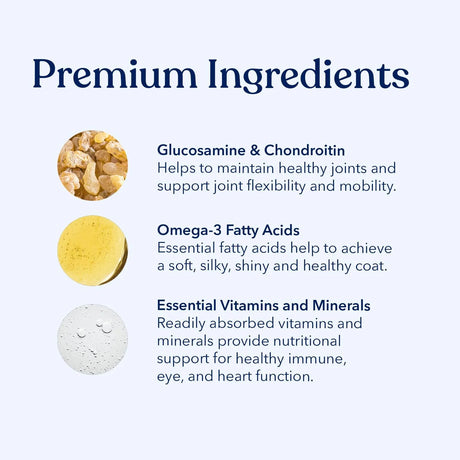 HONEST PAWS - Honest Paws Dog Multivitamin Soft Chews Beef Flavor 90 Masticables - The Red Vitamin MX - Multivitamínicos Para Perros - {{ shop.shopifyCountryName }}