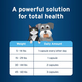 Pet Protect Cat & Small Dog Omega-3 Supplement 60 Capsulas