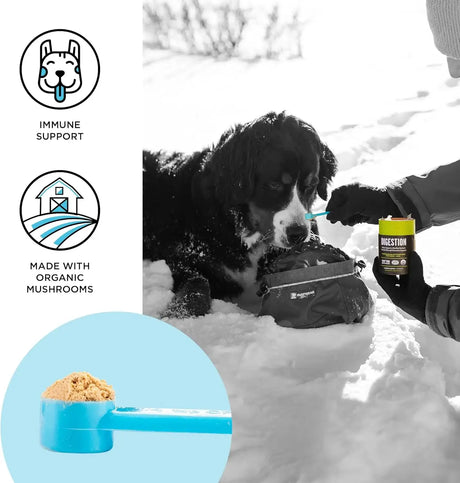 BIXBI - BIXBI Immune Support Daily Powder 60Gr. - The Red Vitamin MX - Suplementos Herbales Para Perros - {{ shop.shopifyCountryName }}