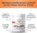 PET VET - Pet Vet Glucosamine Hip & Joint Supplement for Dogs 60 Masticables - The Red Vitamin MX - Cuidado De Cadera Y Articulaciones Para Perros - {{ shop.shopifyCountryName }}