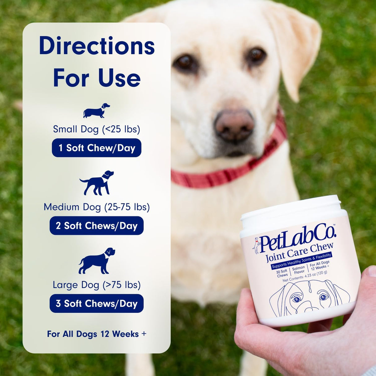PetLab Co. Joint Care Chews for Dogs Salmon Flavor 30 Masticables