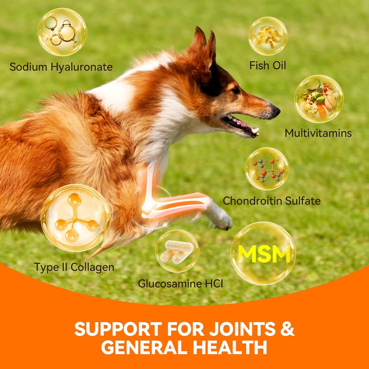 PUAINTA Dog Hip and Joint Supplement 30 Masticables