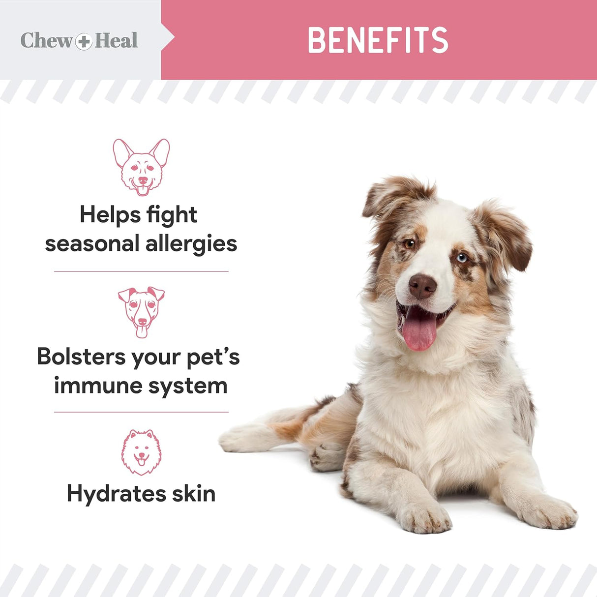 Chew + Heal Labs Dog Allergy Chews 90 Masticables 2 Pack