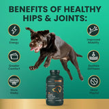 VETRISCIENCE - VetriScience Ultimate Strength Healthy Hip & Joint Tablets 120 Tabletas Masticables - The Red Vitamin MX - Cuidado De Cadera Y Articulaciones Para Perros - {{ shop.shopifyCountryName }}