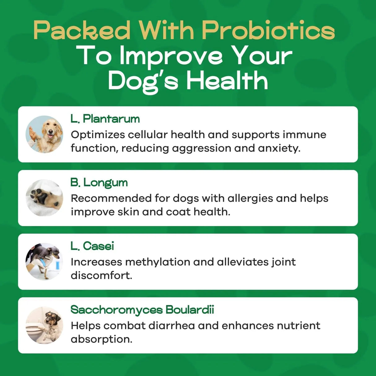 TRUECANINE - TrueCanine Wild Belly Dog Gut Health Probiotics 30 Servicios 60Gr. 3 Pack - The Red Vitamin MX - Probióticos Para Perros - {{ shop.shopifyCountryName }}