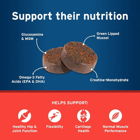 PET PROTECT - Pet Protect from The Makers of Advantage Vet-Formulated Hip & Joint for Dogs 120 Masticables - The Red Vitamin MX - Cuidado De Cadera Y Articulaciones Para Perros - {{ shop.shopifyCountryName }}