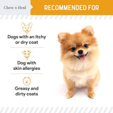CHEW + HEAL - Chew + Heal Labs Salmon Oil for Dogs 8 Fl.Oz. - The Red Vitamin MX - Aceite De Pescado Para Perros - {{ shop.shopifyCountryName }}