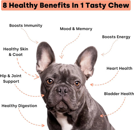 KAYODE - Kayode Daily Multi Dog Multivitamin & Superfood Chew 90 Masticables - The Red Vitamin MX - Multivitamínicos Para Perros - {{ shop.shopifyCountryName }}