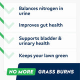 STRELLALAB - STRELLALAB Green Grass Dog Chews 120 Masticables - The Red Vitamin MX - Salud De Tracto Urinario Para Perros - {{ shop.shopifyCountryName }}
