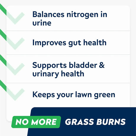 STRELLALAB - STRELLALAB Green Grass Dog Chews 120 Masticables - The Red Vitamin MX - Salud De Tracto Urinario Para Perros - {{ shop.shopifyCountryName }}
