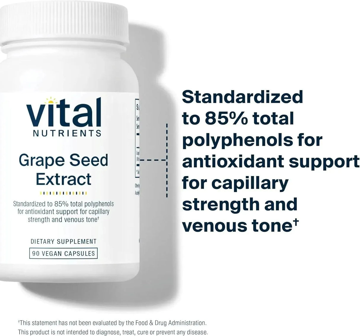 VITAL NUTRIENTS - Vital Nutrients Grape Seed Extract 100Mg. 90 Capsulas - The Red Vitamin MX - Suplementos Alimenticios - {{ shop.shopifyCountryName }}