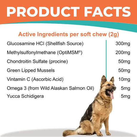 FUR & HEALTH - Fur & Health Glucosamine Chondroitin Hip & Joint Supplement for Dogs 120 Masticables - The Red Vitamin MX - Cuidado De Cadera Y Articulaciones Para Perros - {{ shop.shopifyCountryName }}