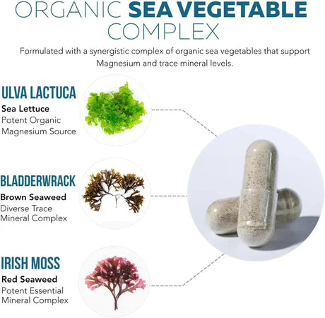 TRIQUETRA - Triquetra Health Plant Magnesium 250Mg. 60 Capsulas - The Red Vitamin MX - Suplementos Alimenticios - {{ shop.shopifyCountryName }}