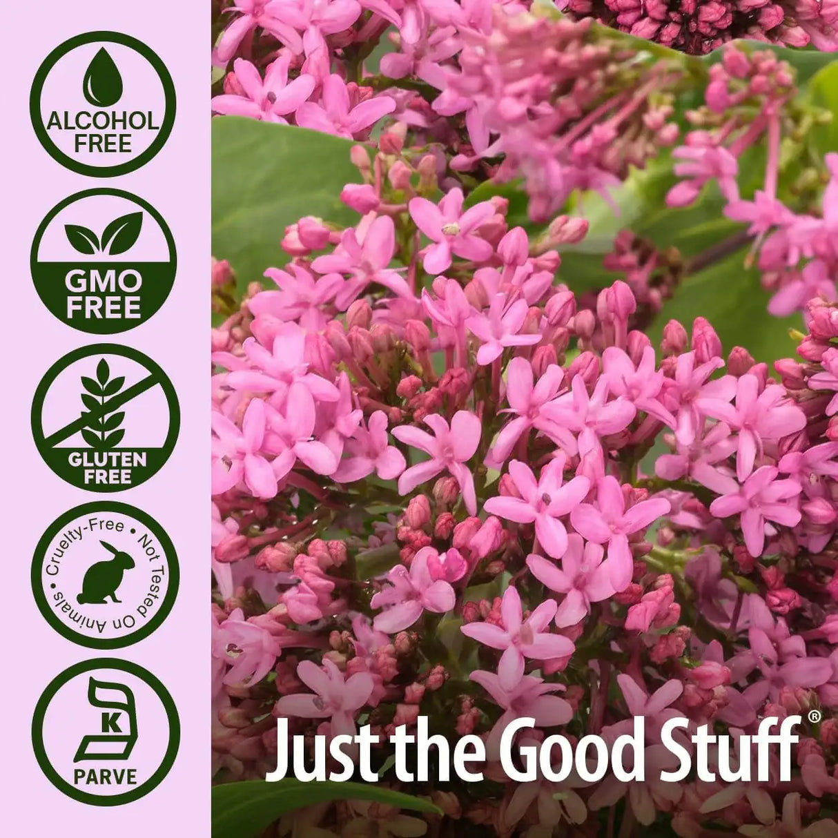 NATURE´S ANSWER - Nature's Answer Valerian Root 2 Fl.Oz. - The Red Vitamin MX - Suplementos Alimenticios - {{ shop.shopifyCountryName }}